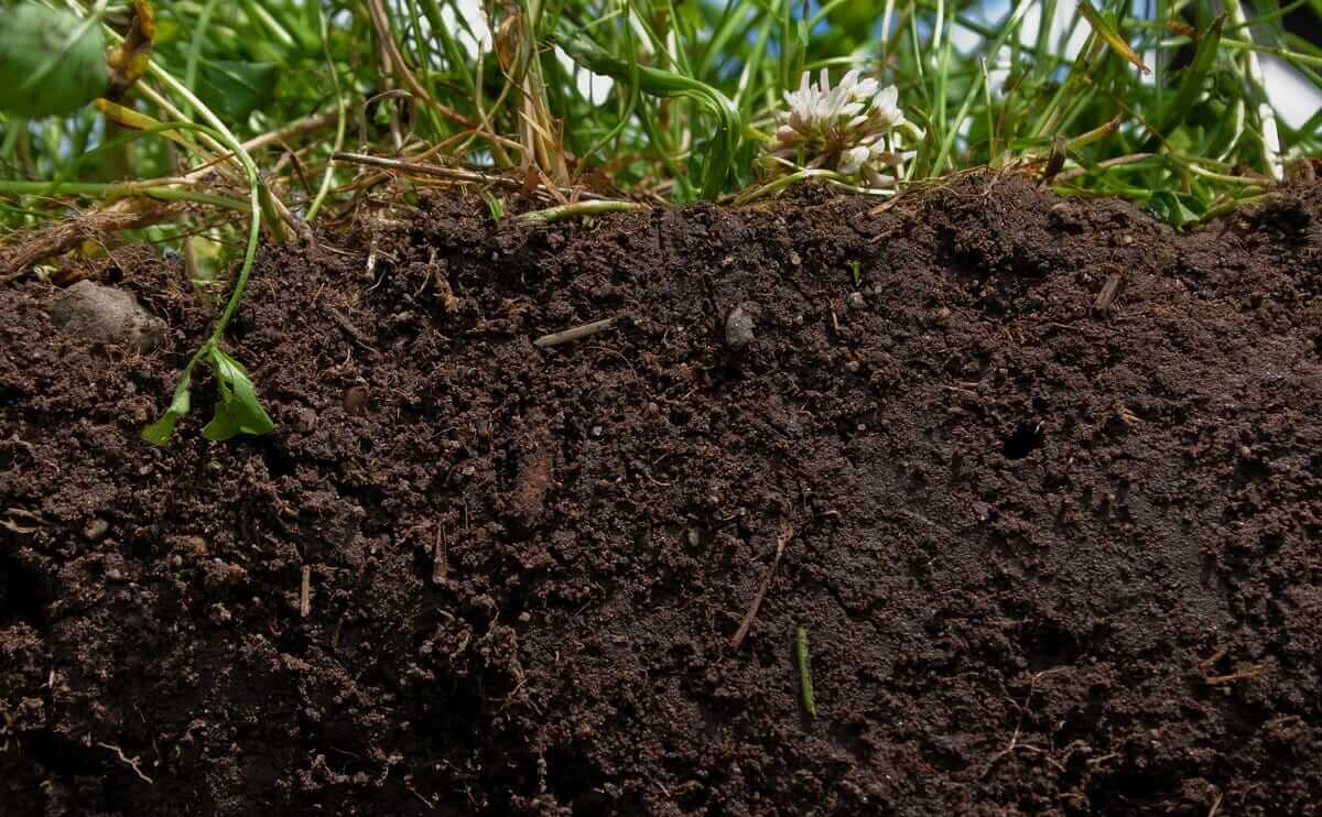 Our Soil Is Bad. Are We Doomed? Modern Farmer