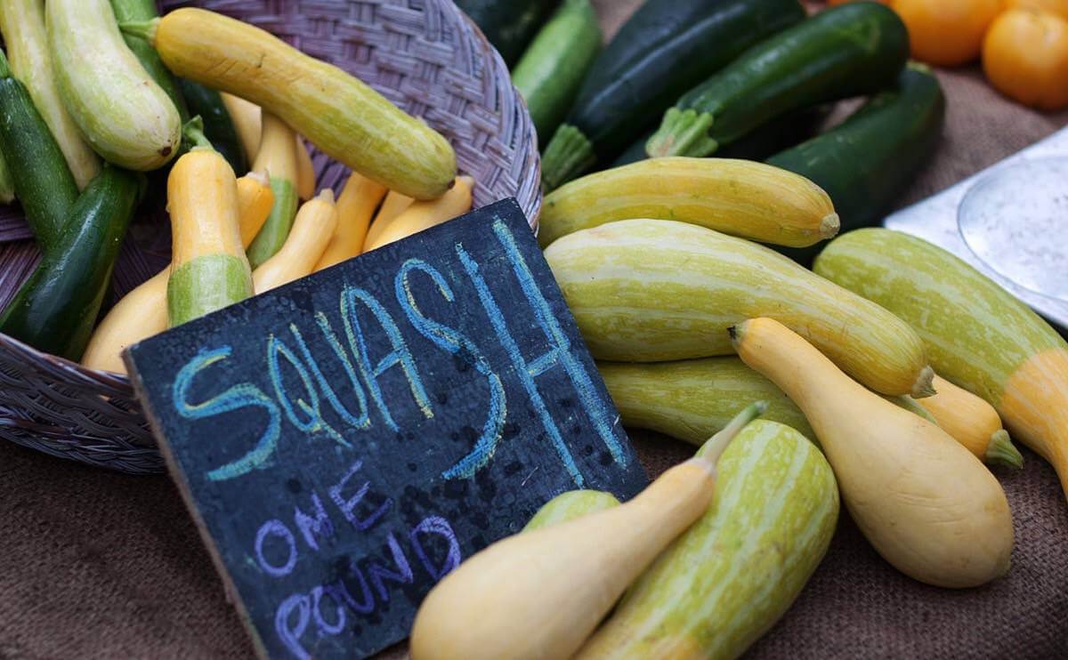 10 Summer Squash Varieties Some You Know, Some You Don't Modern Farmer