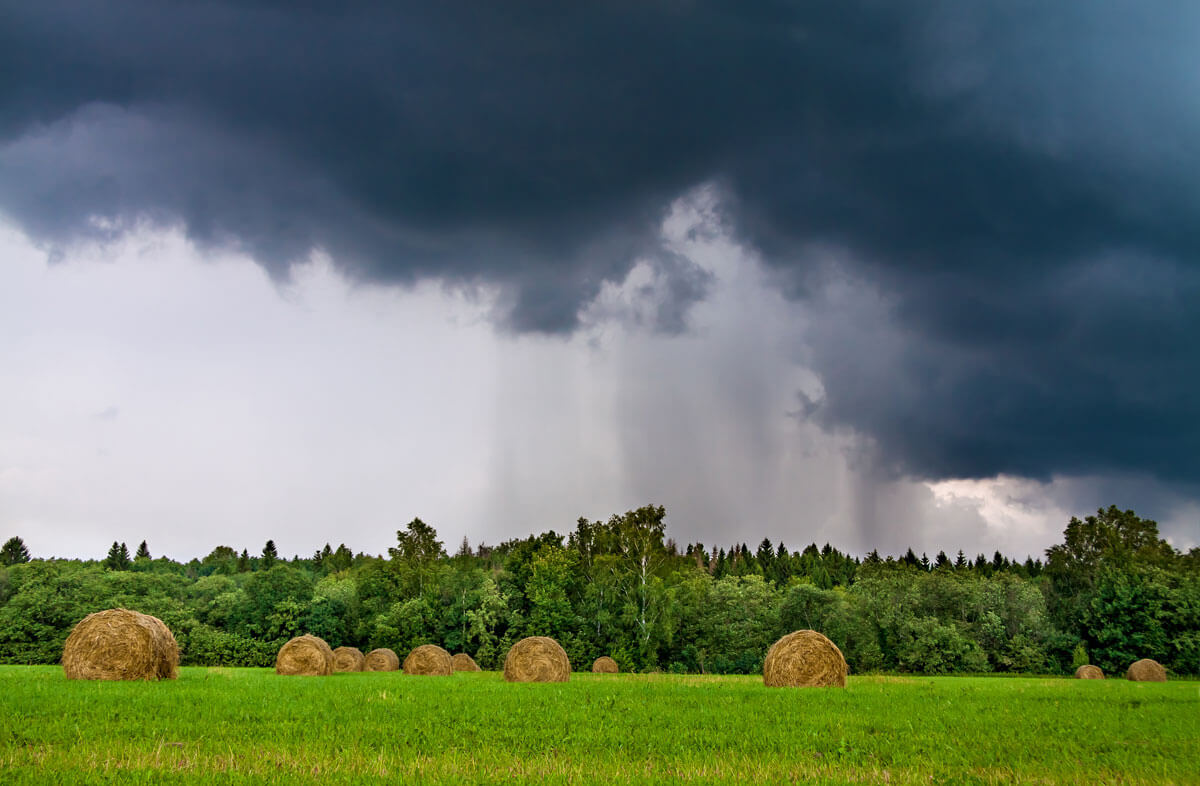 How Will 2015's Absurdly Wet Weather Affect This Year's