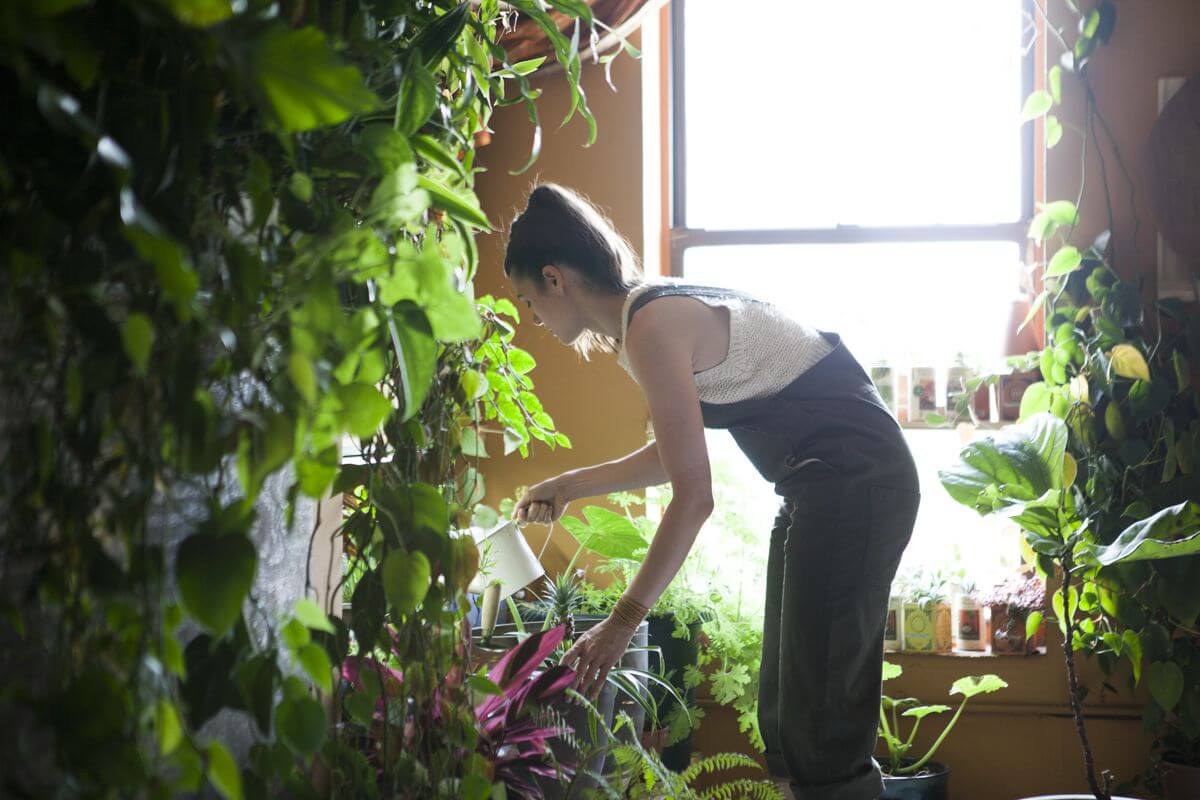 Meet a Woman Who Keeps 500 Plants in Her Brooklyn Apartment Modern Farmer