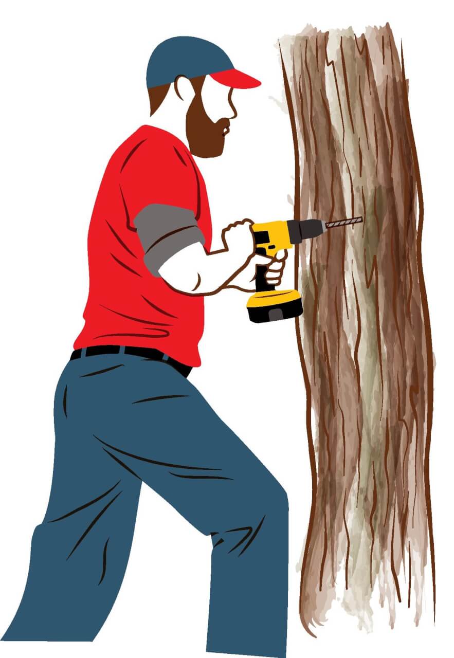 How to Tap Trees for Syrup Modern Farmer