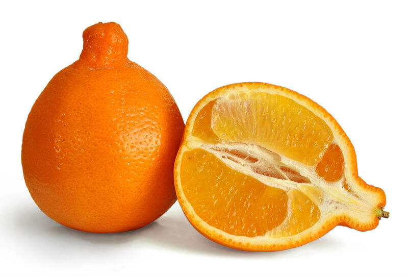 Name That Orange! The Modern Farmer Guide to Orange Varieties Modern