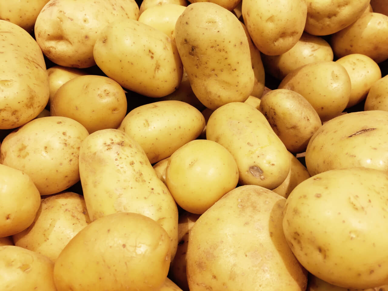 Potato Company Simplot Licenses DowDuPont’s Gene Editing Tech Modern