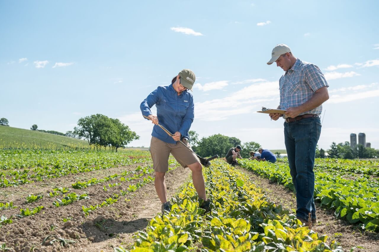 The Elusive Goal of NoTill Organic Modern Farmer