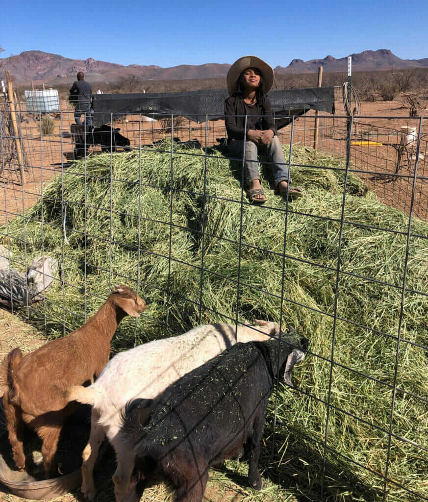 A Burgeoning Network of Black Ranchers Grows in the Southwest Modern