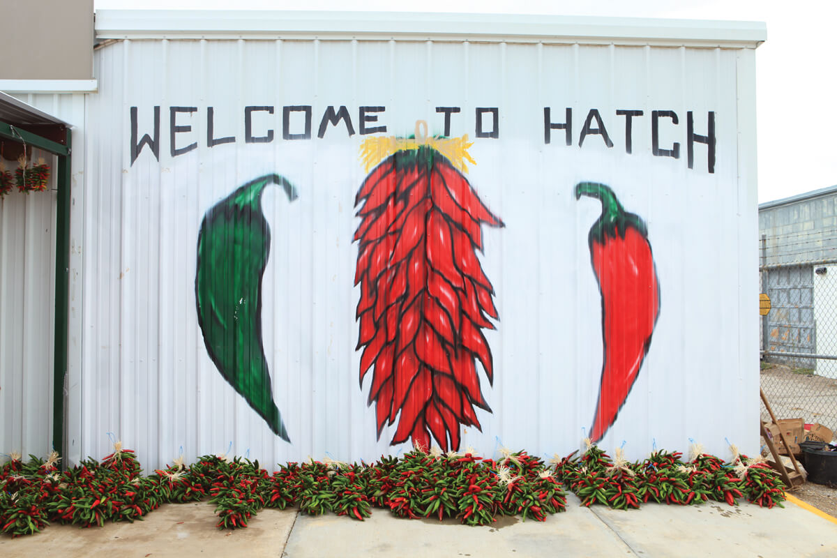 Hatch Chile Peppers Face an Uncertain Future Modern Farmer
