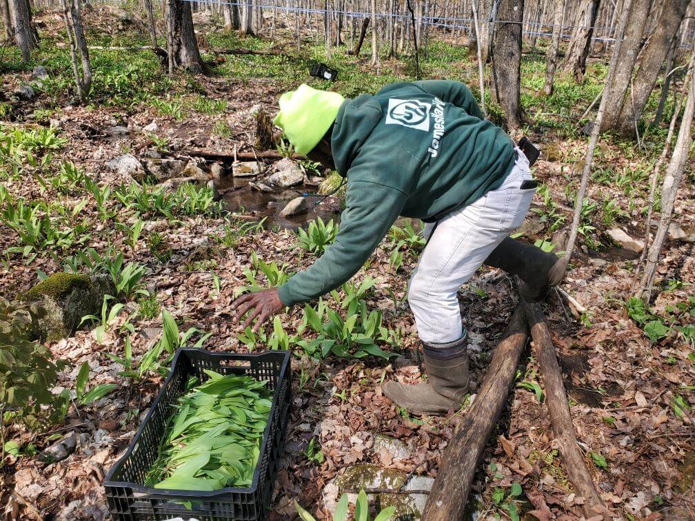 For Ramps, A Sustainable Future Depends On Leaving The Bulb Behind