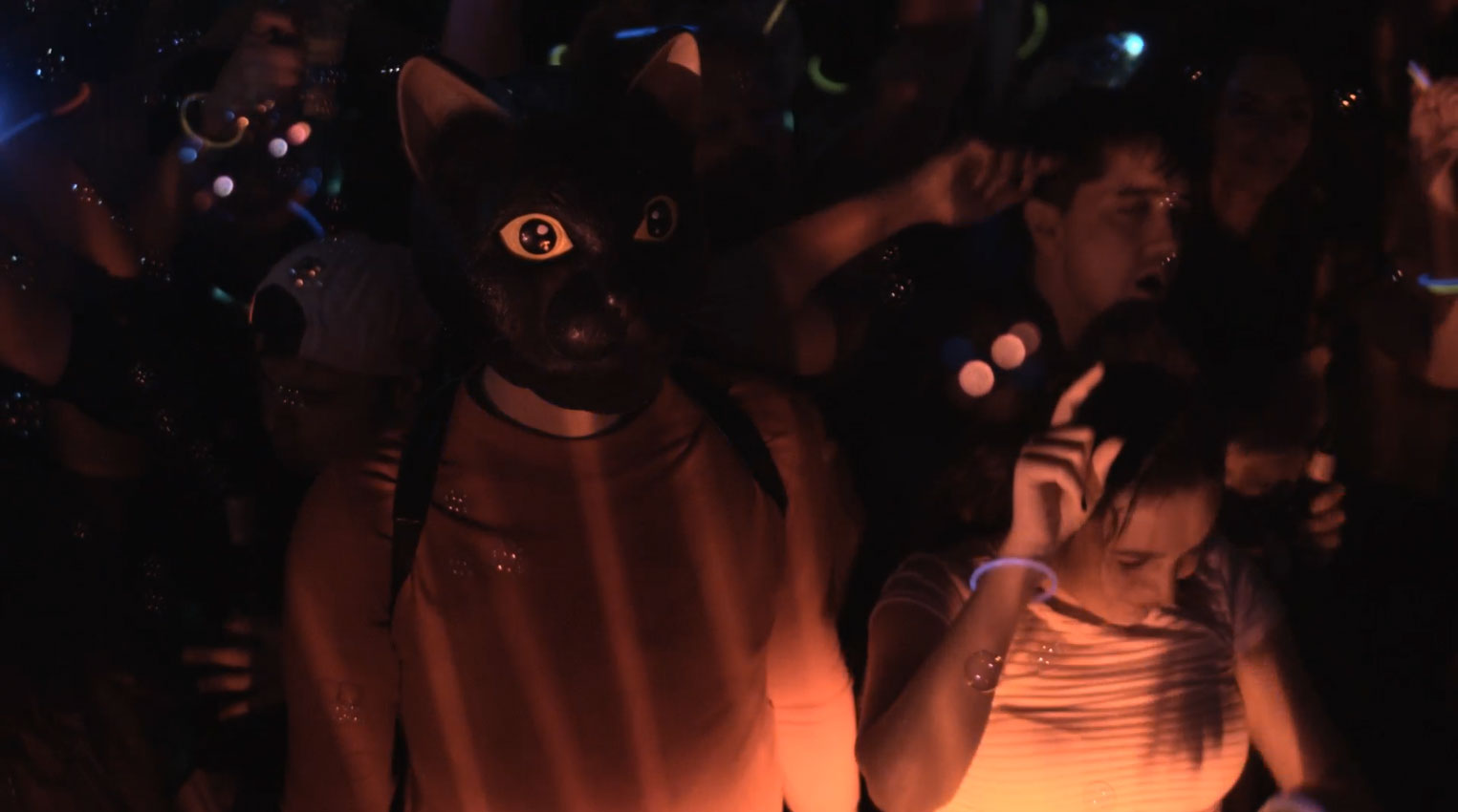 Nothing is Stranger Than This Cat Sick Blues Trailer