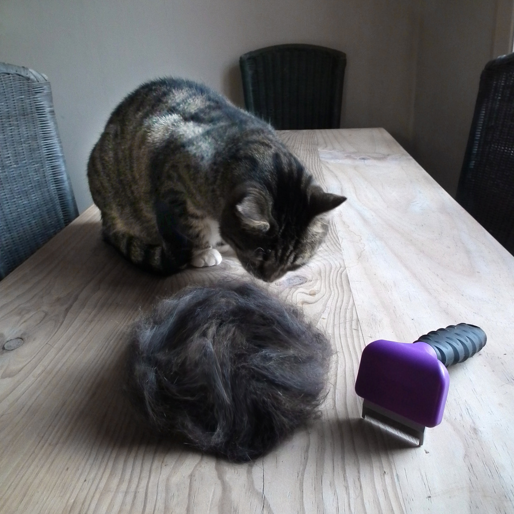 Modernistic ® Keep your pet's shedding in check