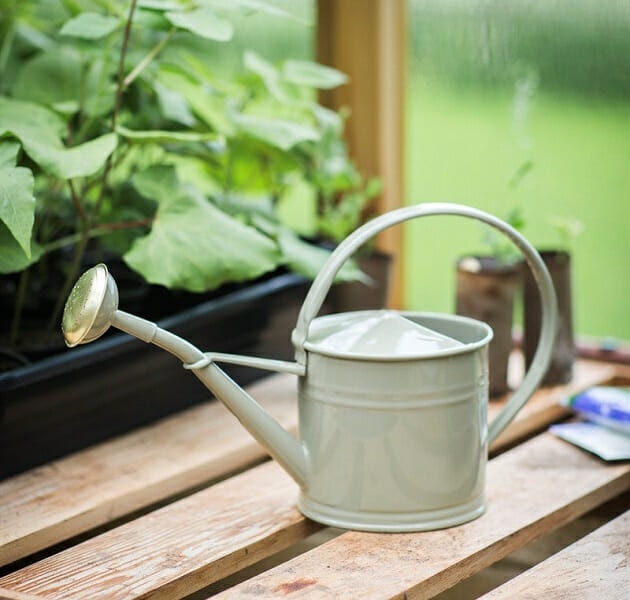 The Easiest Ways to Save Water in Your Home Modernize