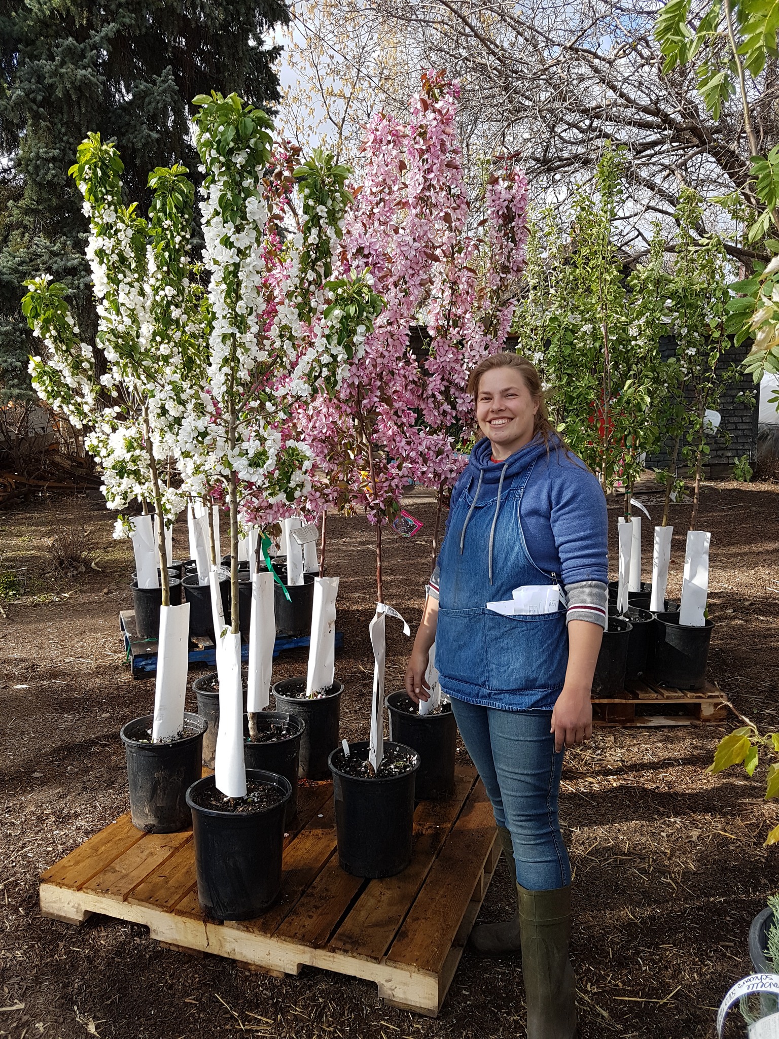 Top 10 UPick Farms In and Around Edmonton Modern Mama