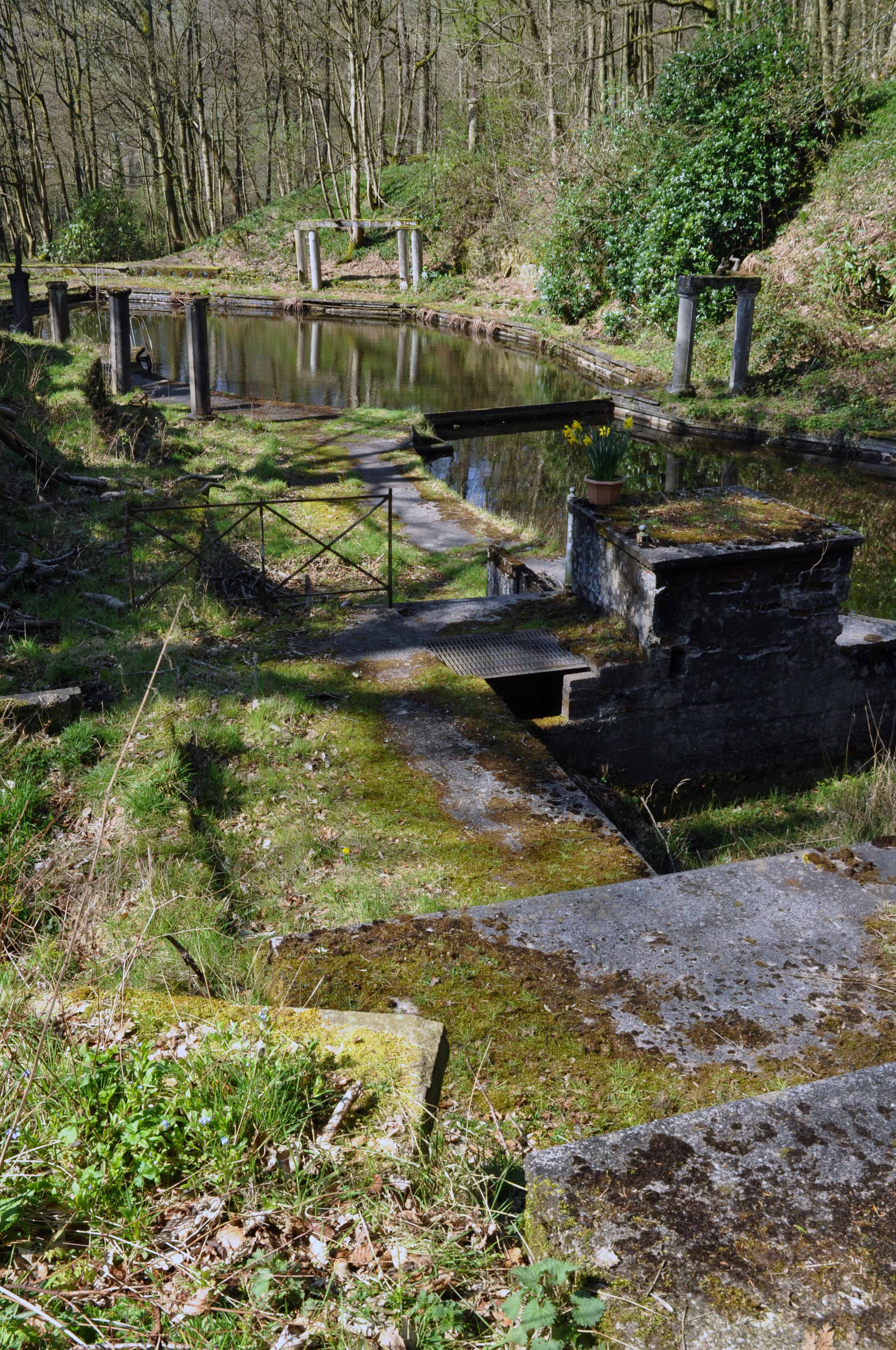 Park Hall Manor Pool Little Hayfield