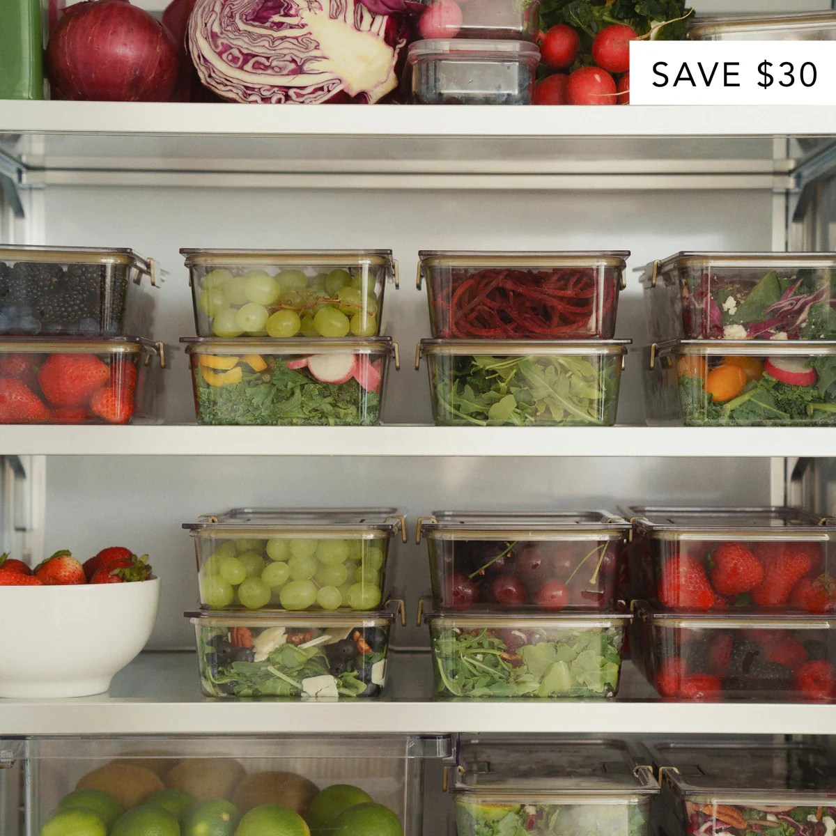 The Food Container Modern Picnic