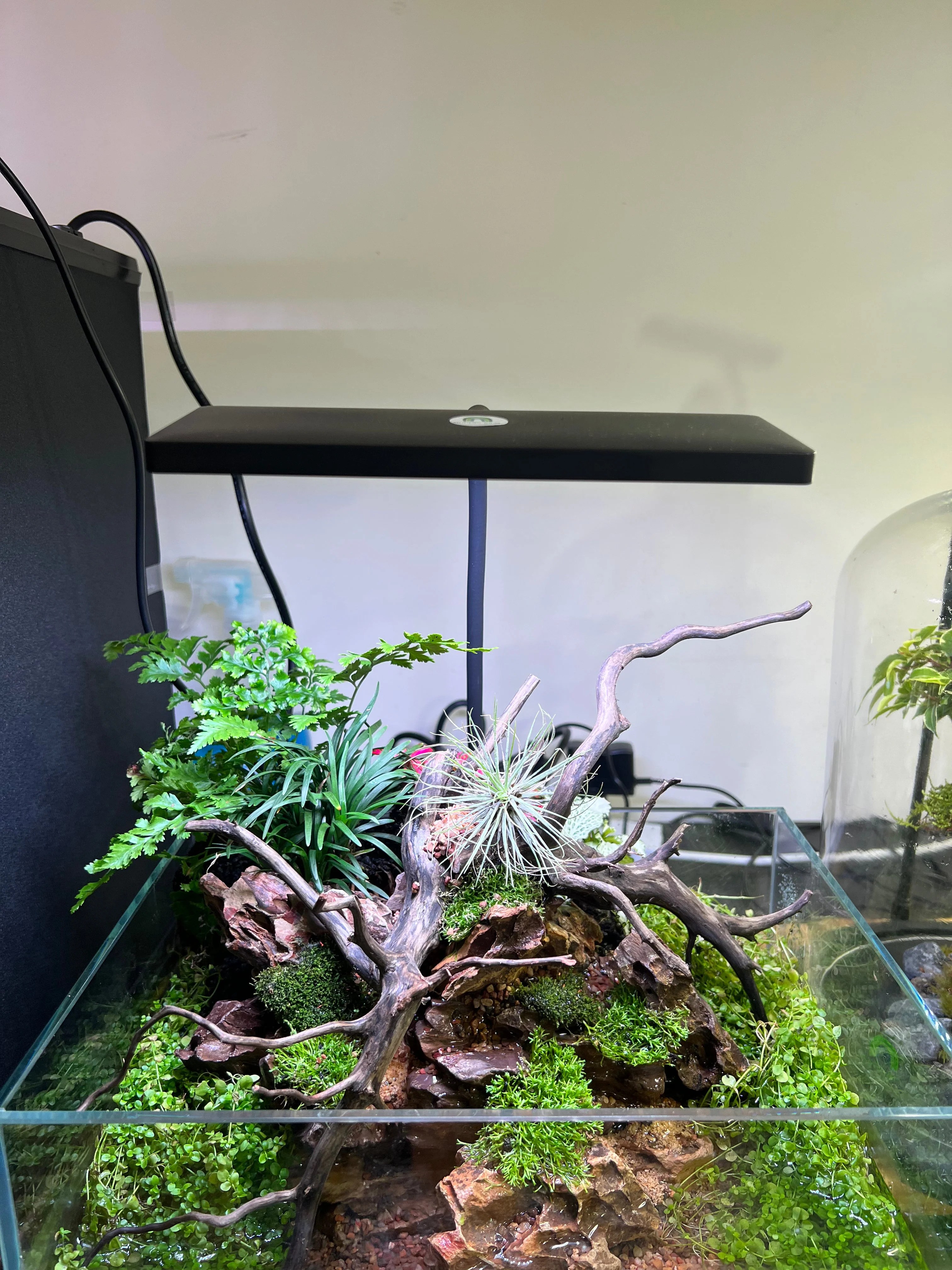 Frok RBG 18W Aquarium/ terrarium/ Paludarium light modernrium
