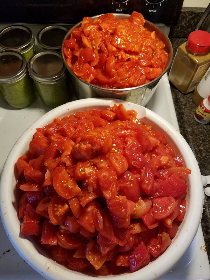 How to Peel Tomatoes for Smooth Pasta Sauce Modern SelfReliance