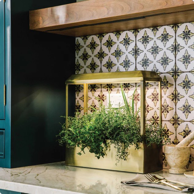 Grow Lights Specs, Tech, and the Basics