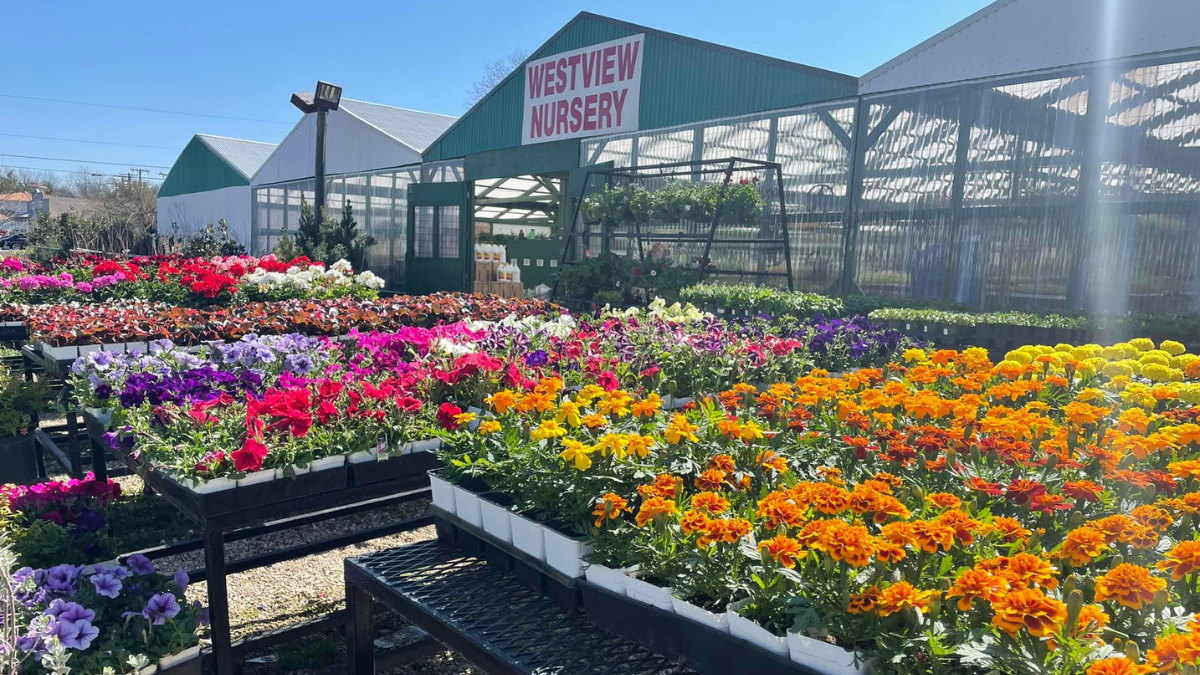 Exploring the Best Nurseries in Waco, Texas A Guide to Planning and Preparing for Your Garden's