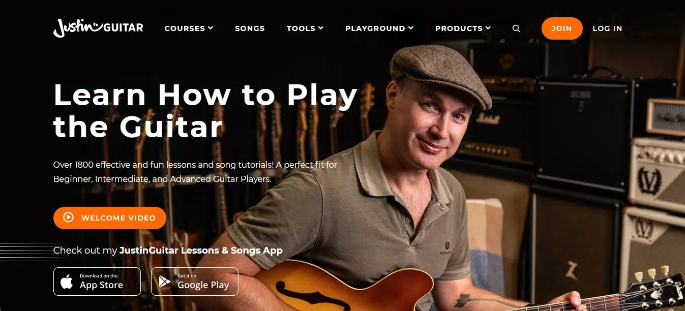 Guitar