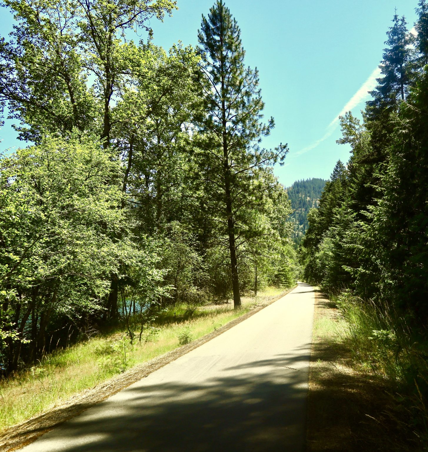 Idaho’s Silver Valley A Story of Wealth, Tragedy, and Transformation