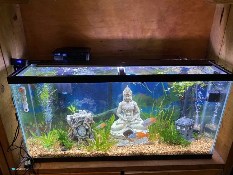 Best Planted Aquarium Lights PAR Tested (2024 Reviews)