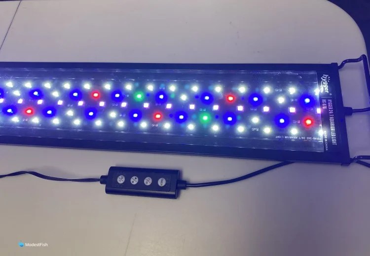 How To Start A Planted Tank (Guide For Beginners)