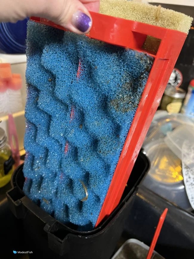 Fluval 407 Canister Filter Unboxed, Tested & Review 2024