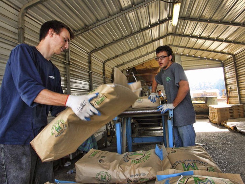 Why Feed Chickens Certified Organic? Modesto Milling Organic Feeds