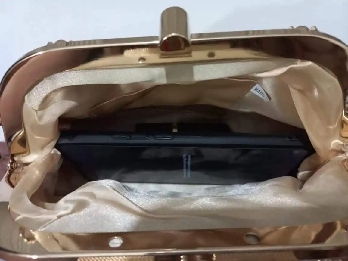Buy Luxury Metal Frame Fancy Clutch Pakistan ModixerPK