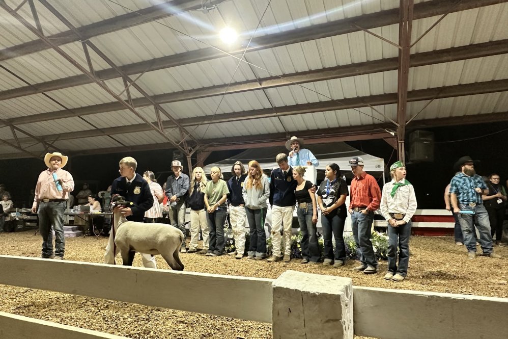 Junior Livestock Auctions a Lamb for Frank Estill Scholarship Modoc