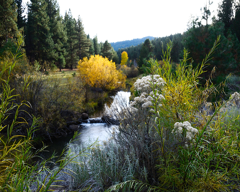Water Reductions in the Klamath Basin Devastate Jobs and Local Economy