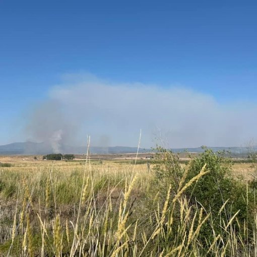 Modoc County Modoc Record