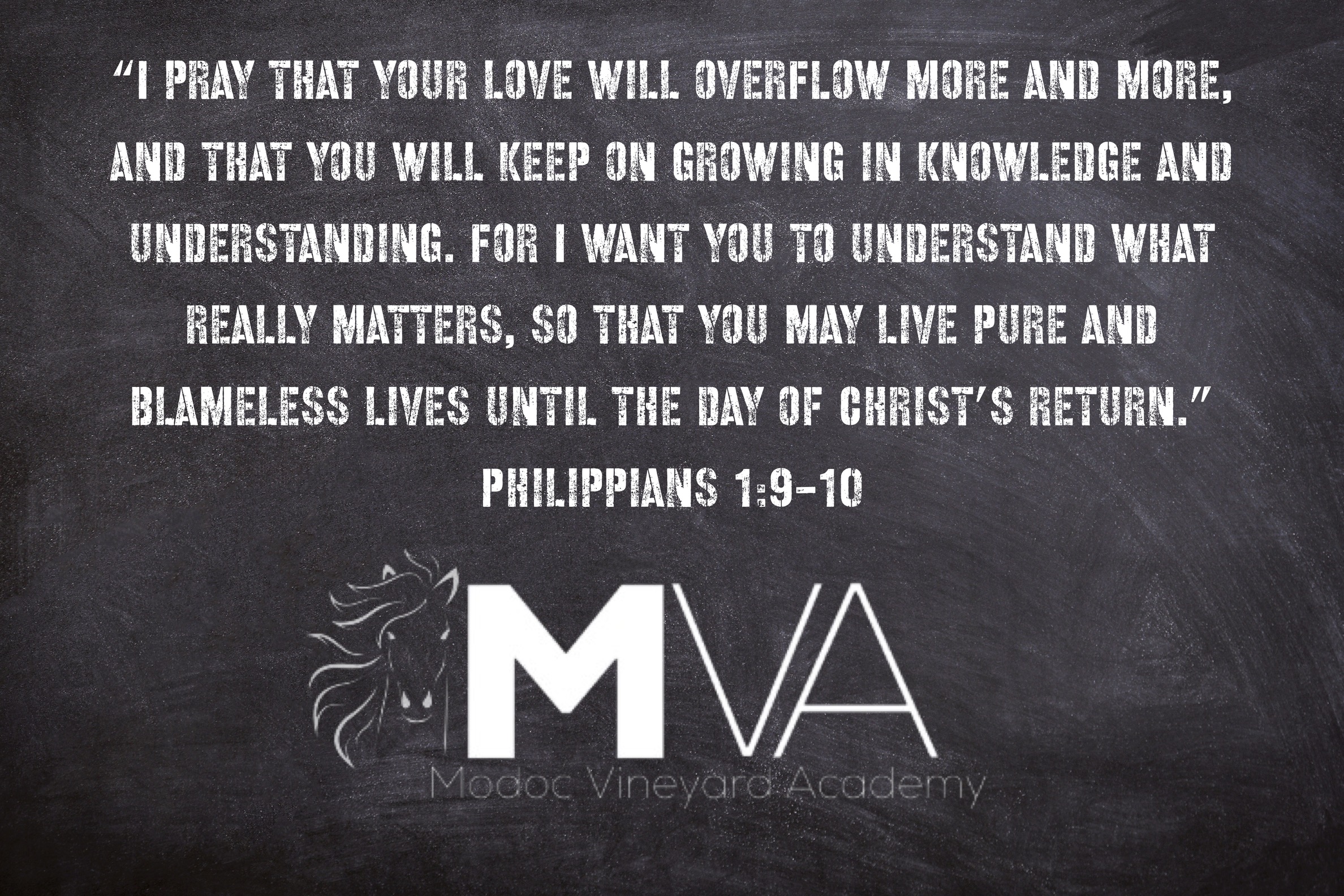 MV Academy Modoc Vineyard