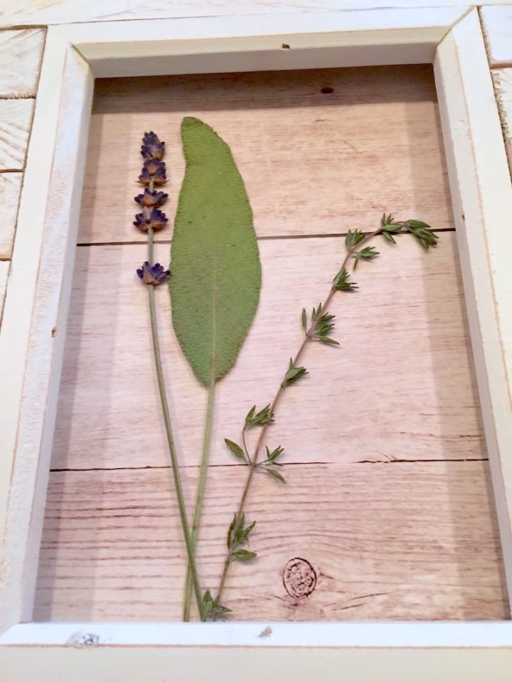 DIY Pressed Flowers with Mod Podge Mod Podge Rocks