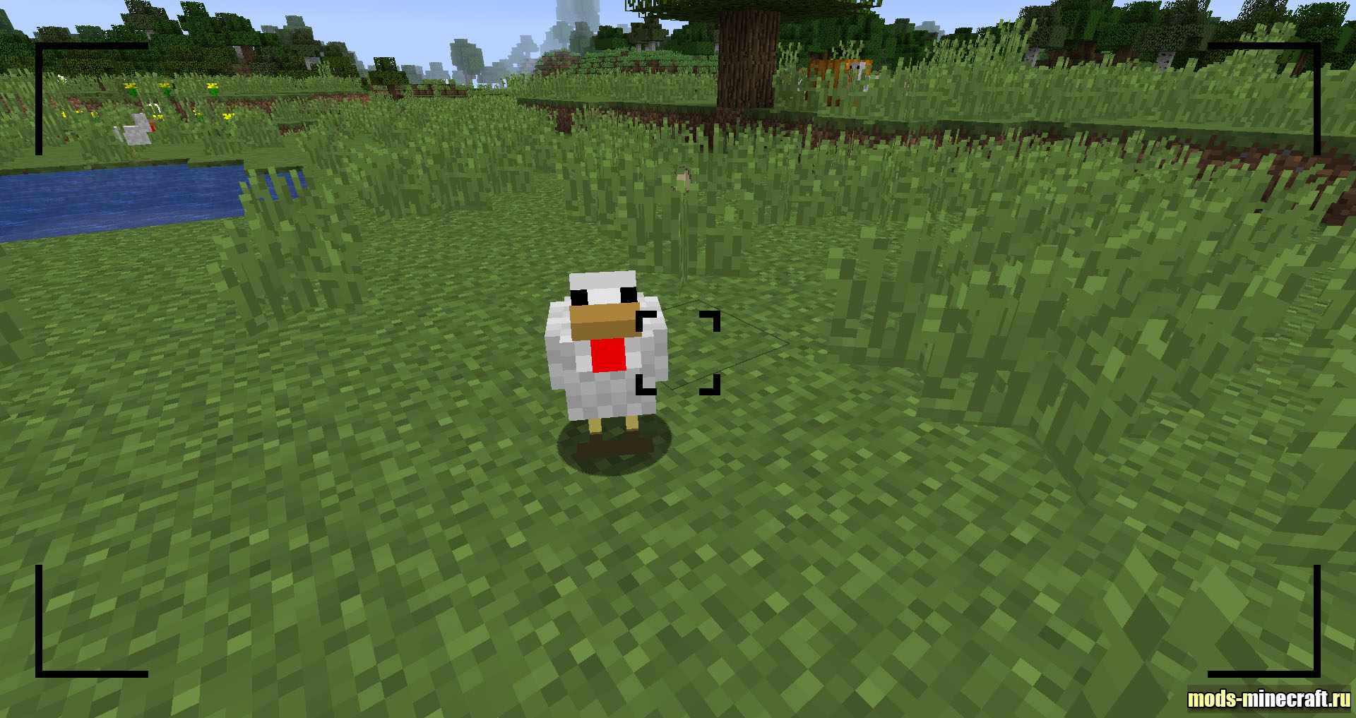 Camera 1.16.1, 1.15.2, 1.14.4, 1.12.2 / Моды на Майнкрафт / Mods