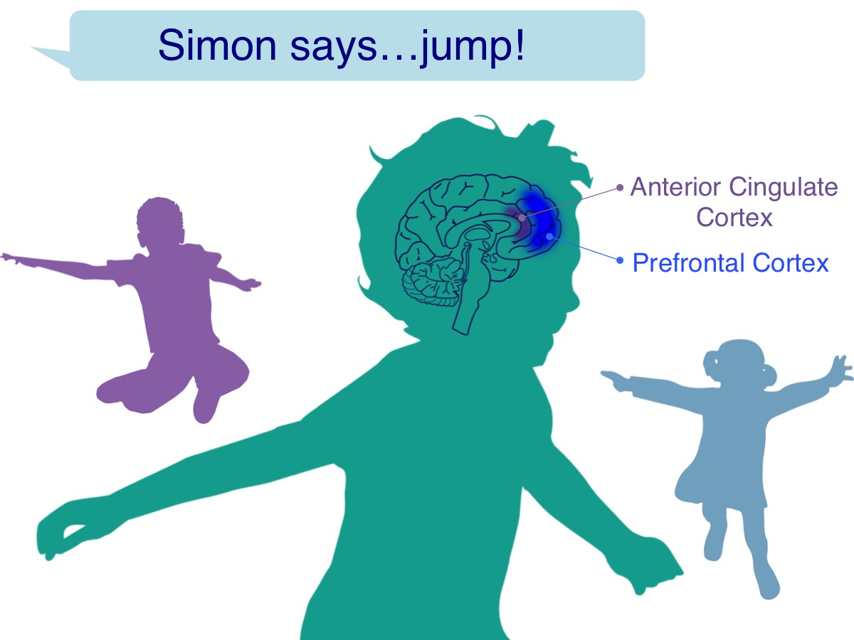 Stability and Change Institute for Learning and Brain Sciences (ILABS)