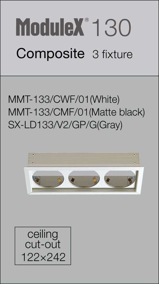 Product Portfolio ModuleX Inc.