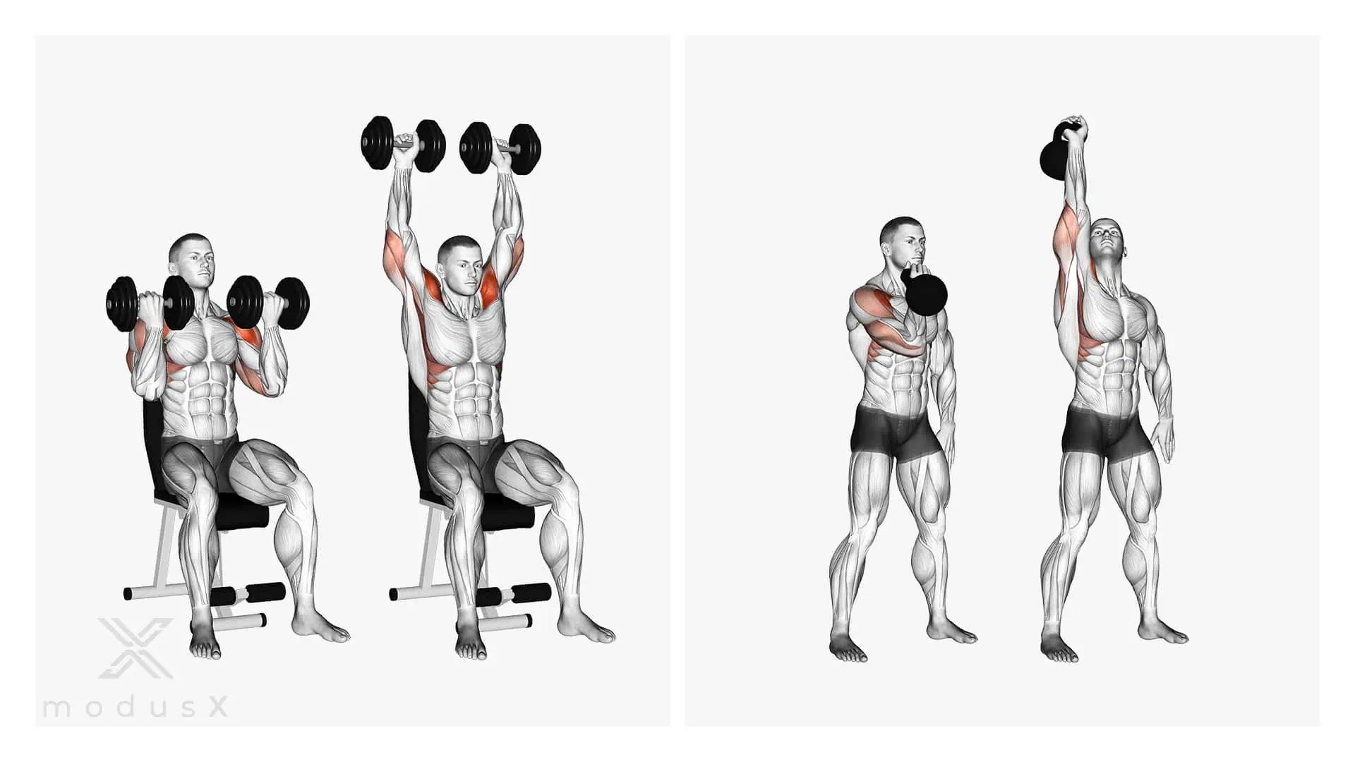 Arnold Press Die Arnold Schwarzenegger SchulterÜbung modusX