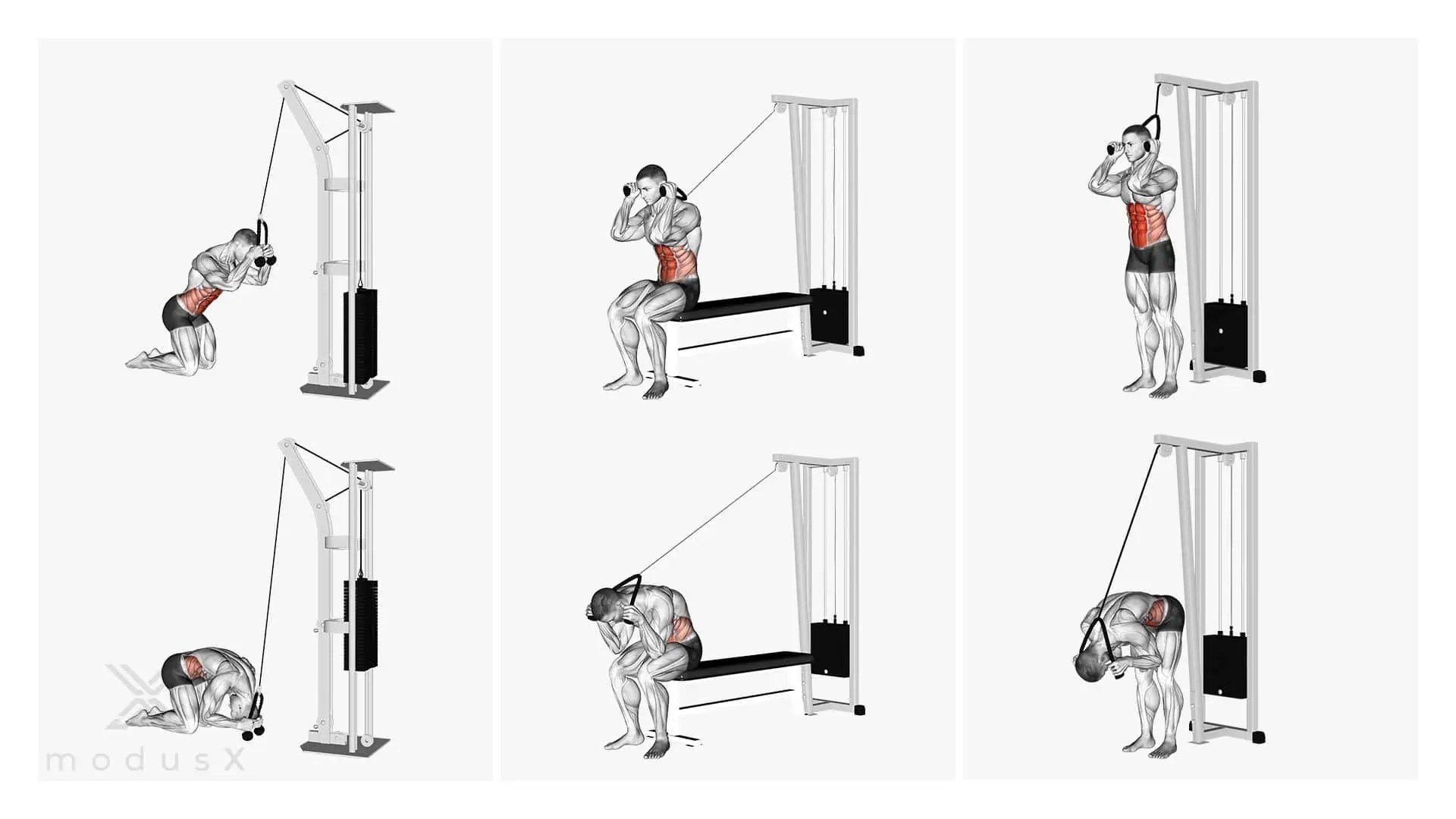 Cable Crunches im Knien, im Stehen und im Sitzen modusX