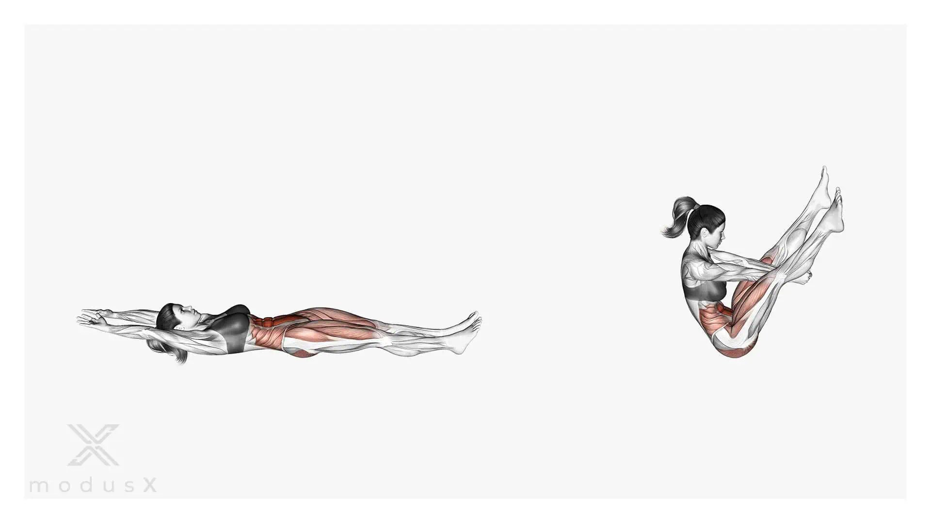 Jack Split Crunch modusX