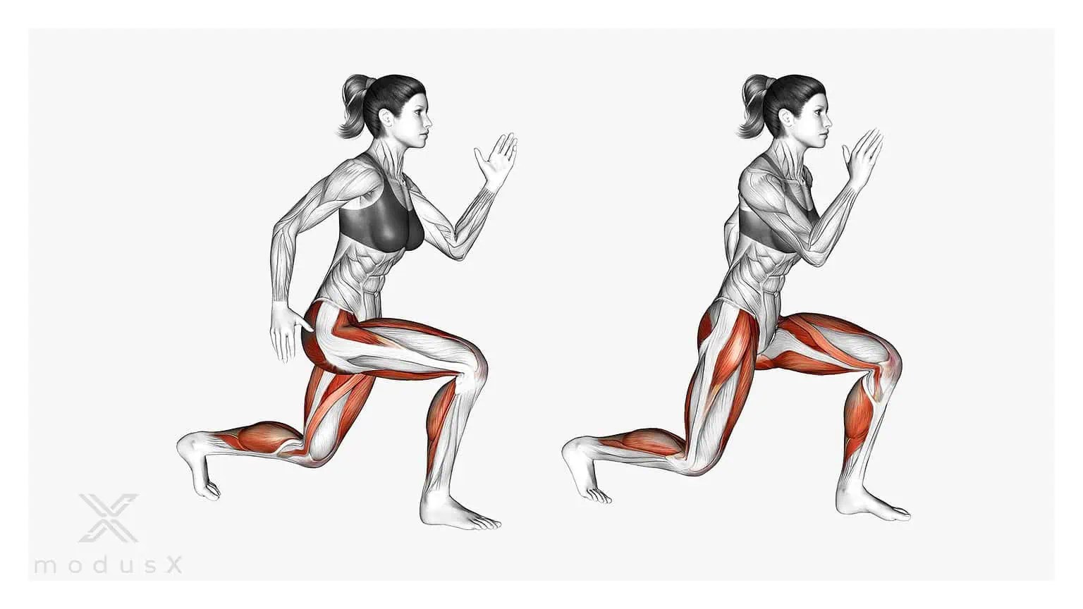 Jumping Lunges Die gesprungenen Ausfallschritte erklärt modusX