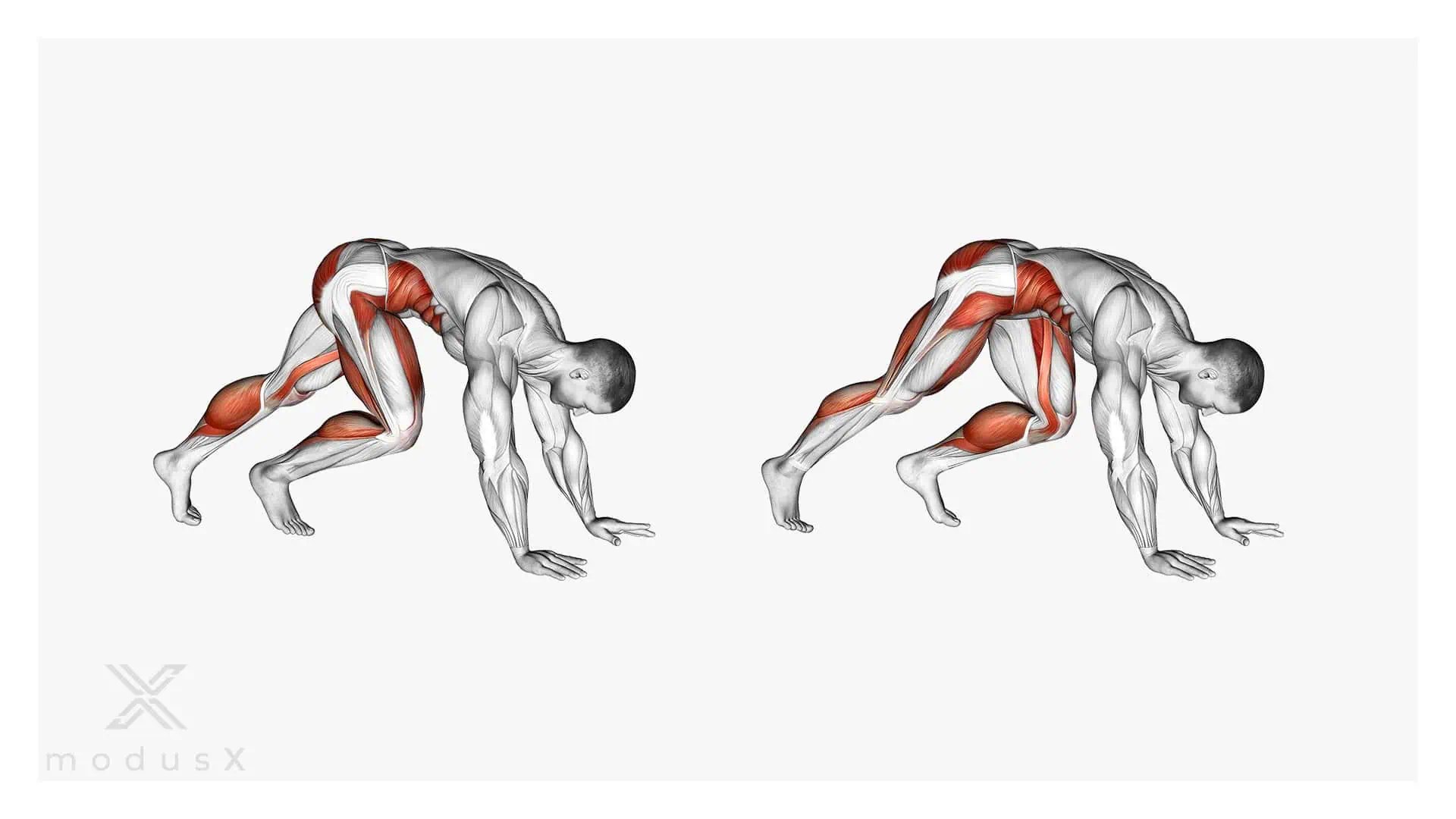 Klassische Mountain Climber modusX