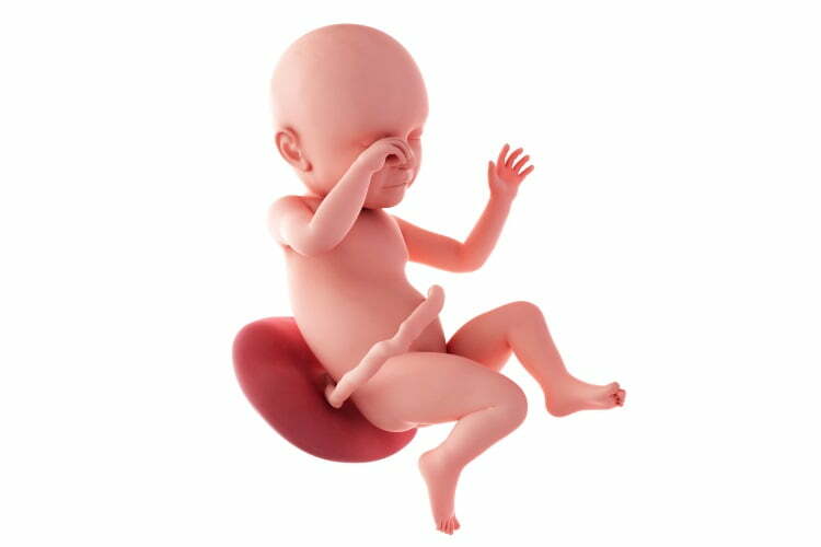 39 Weken Zwanger - Moeders.nu