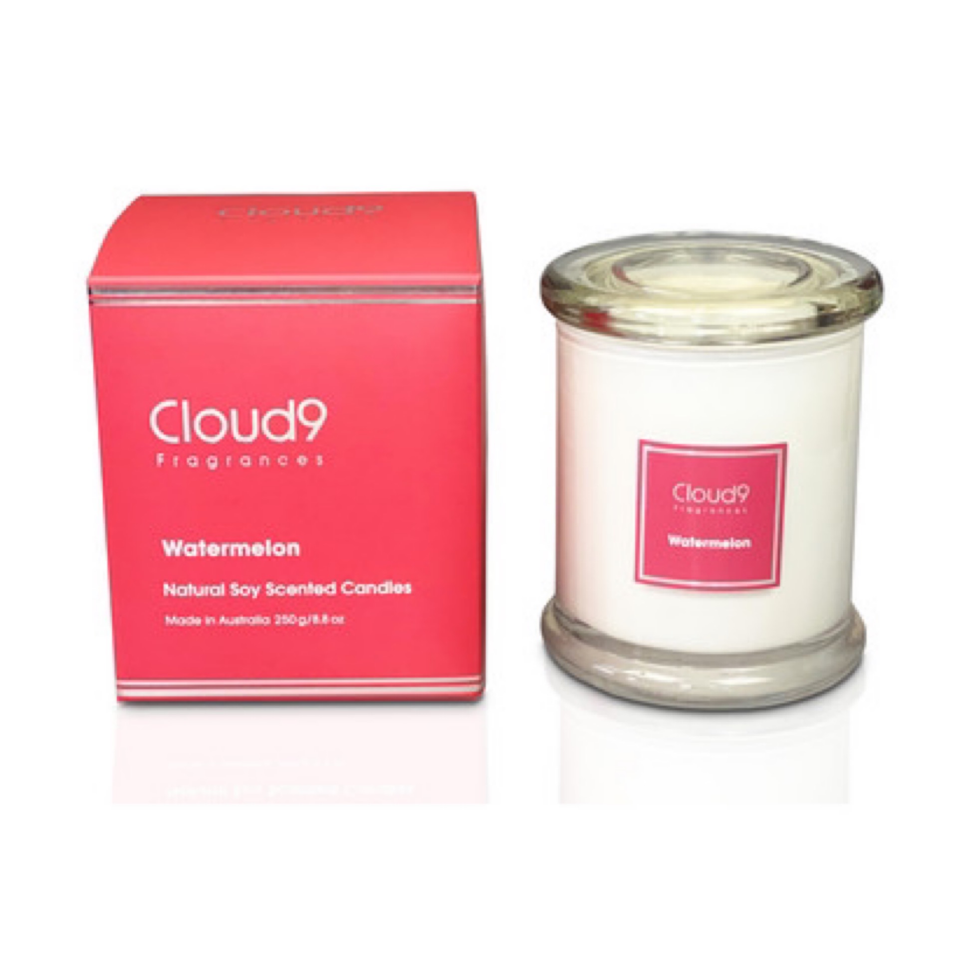 Watermelon Candle Moe Garden Supplies