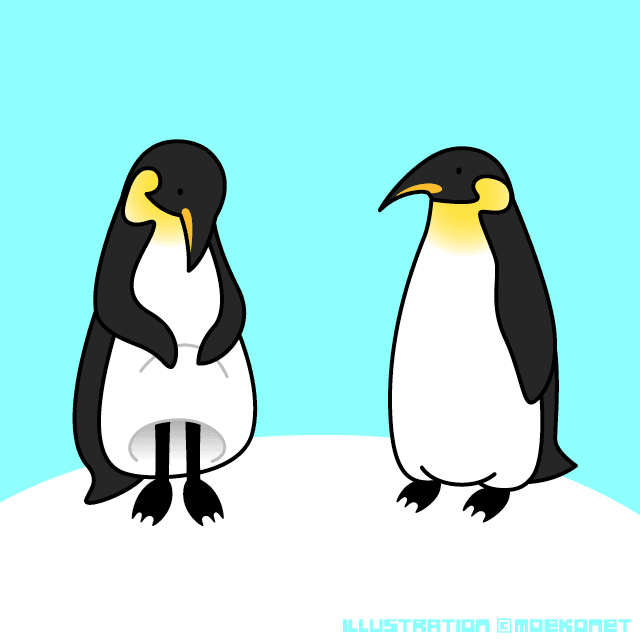 ペンギンがよちよち歩くのはなぜ？ →生きていくための「進化」だった(全文表示)｜Jタウンネット 動物イラストNo.180「ペンギンは意外と足が長い。」 | イラスト制作Moekonet