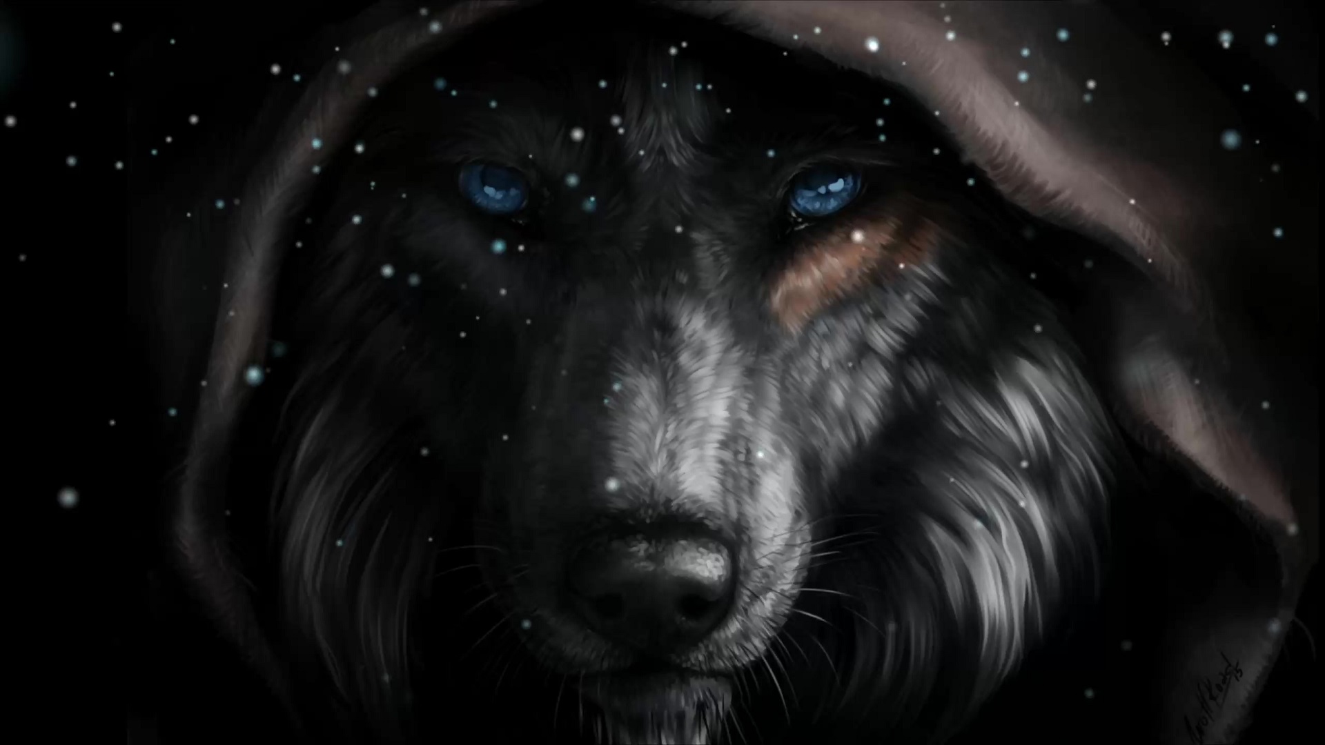 Black Wolf Face Live Wallpaper MoeWalls