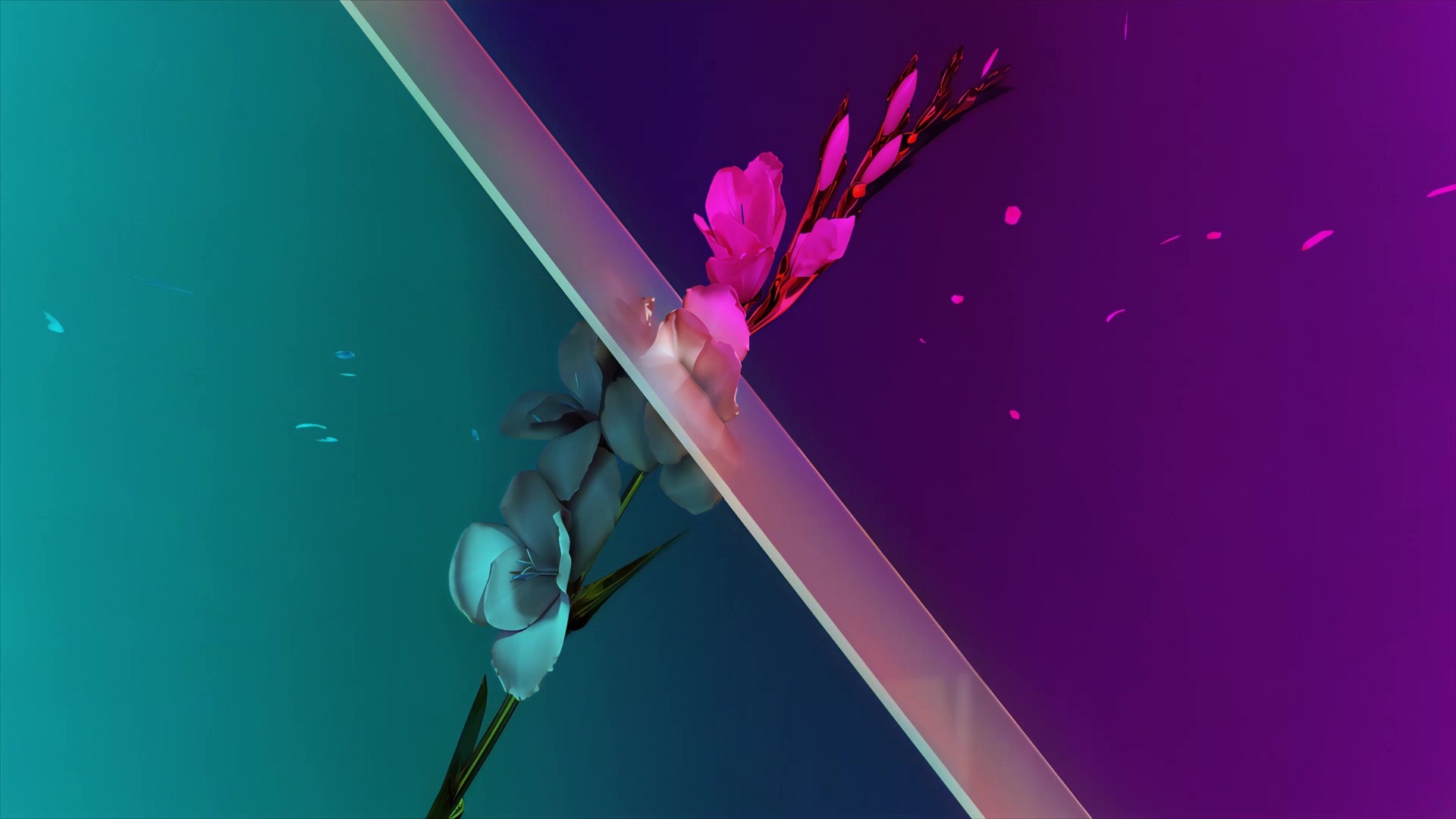 Sakura Live Wallpaper MoeWalls