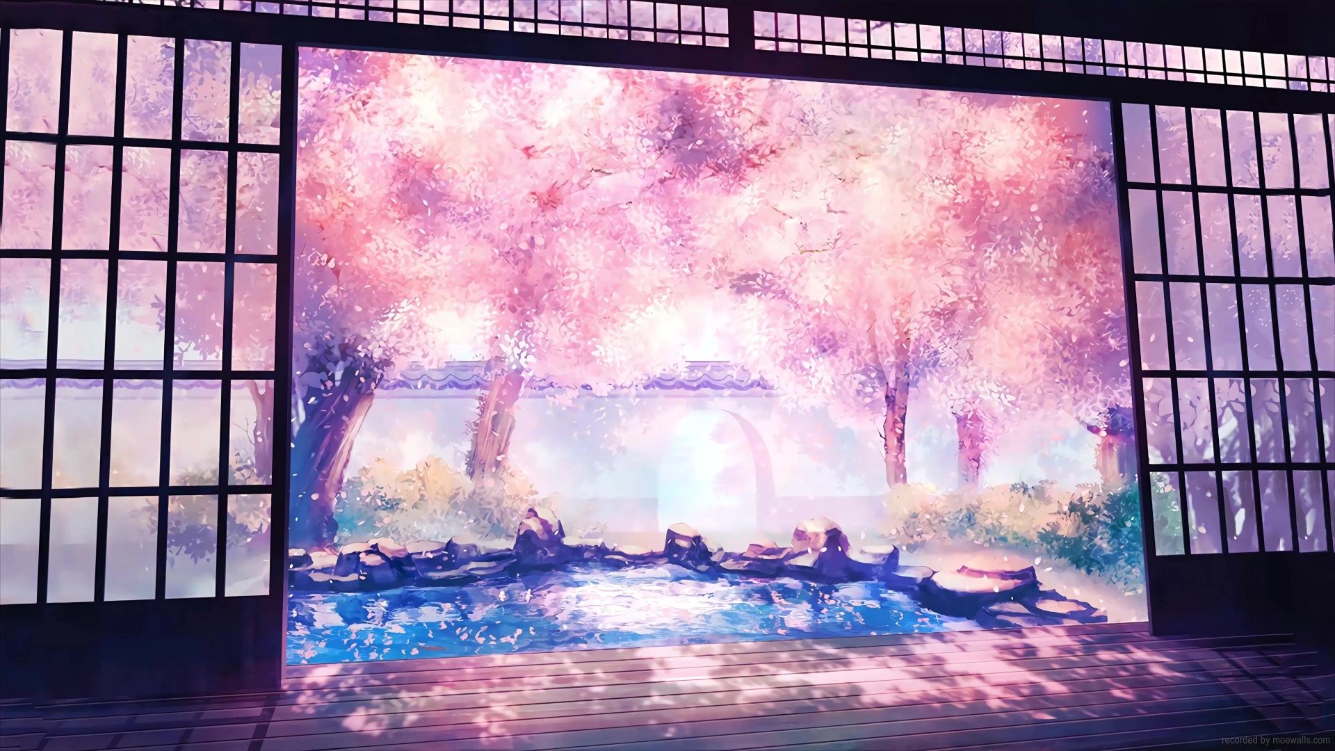 Spring Sakura Live Wallpaper MoeWalls