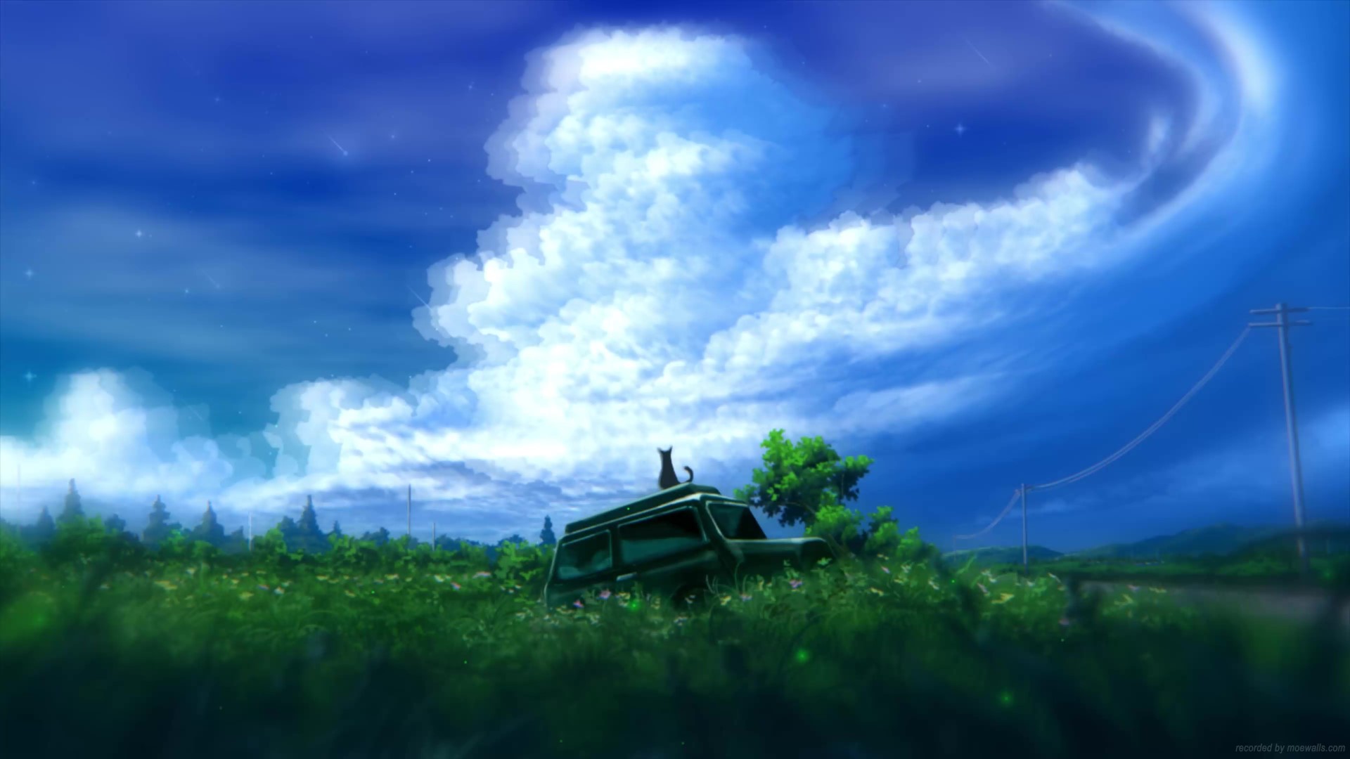 Lost Cat Live Wallpaper MoeWalls