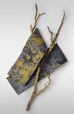 Lichen Carpet Tile Collection Mohawk Group