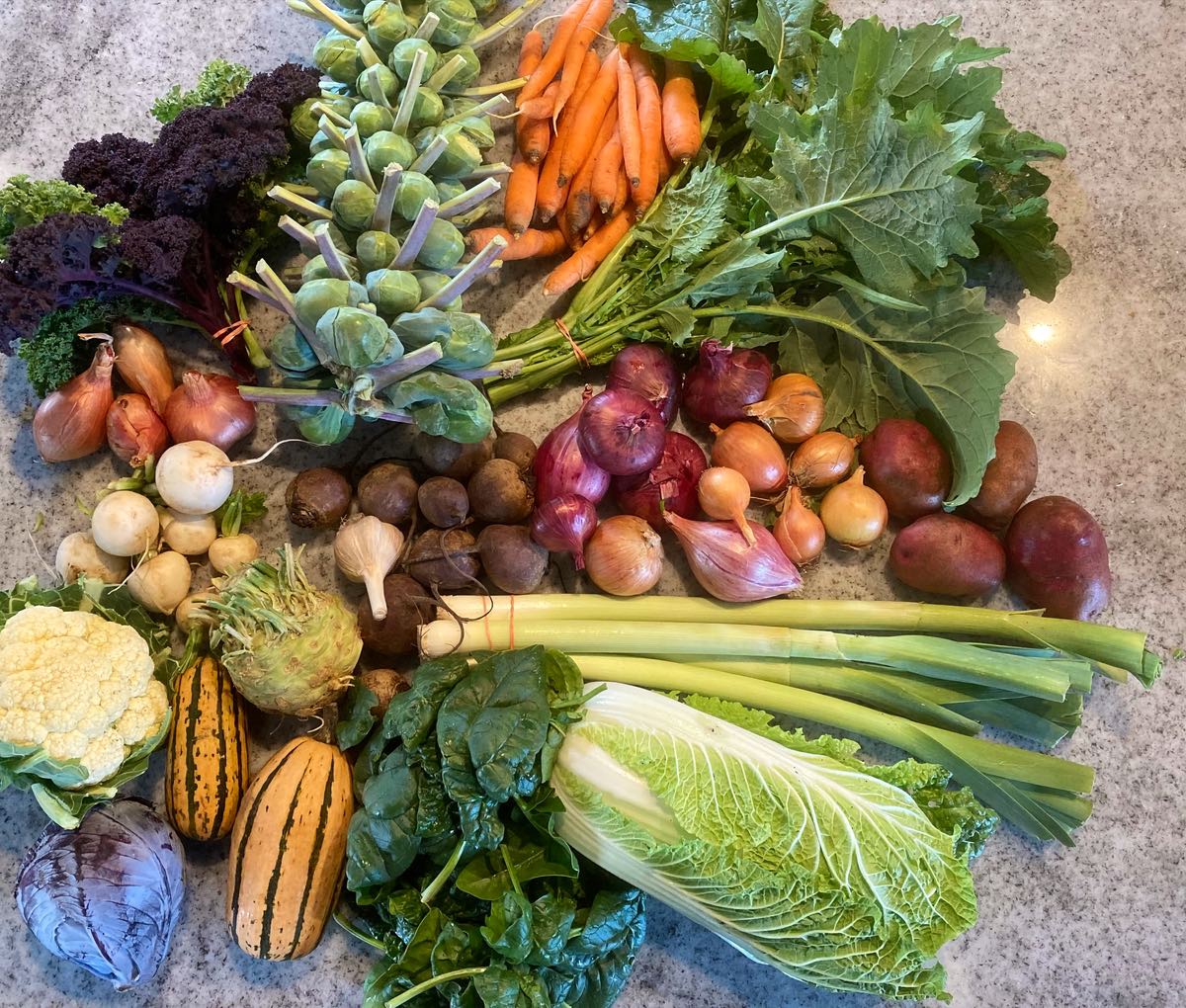 Philia Farm Mohawk Valley Today